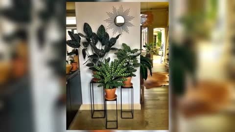 30 Plus Creative Ways to Decorate with Plants in Your Home