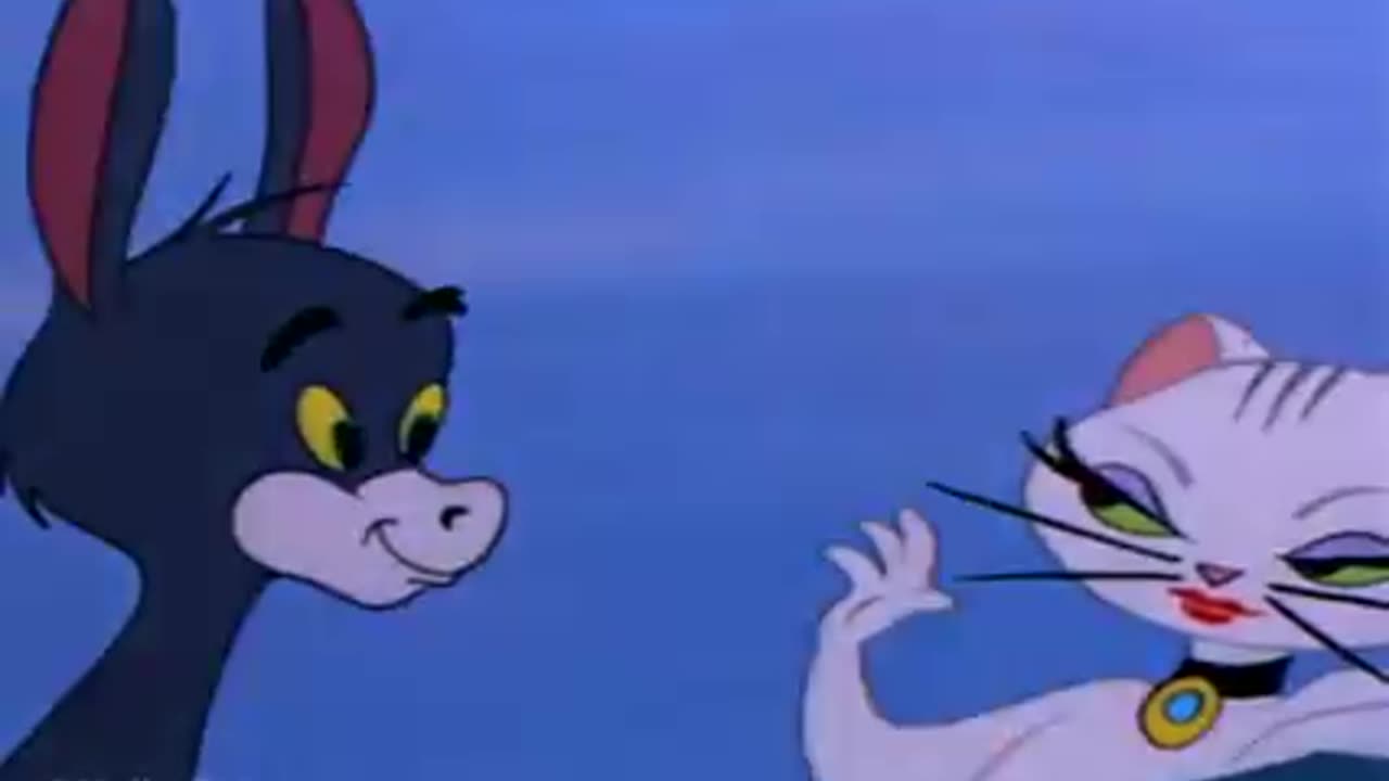 Tom & Jerry Funny Cartoon