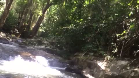 beautiful nature