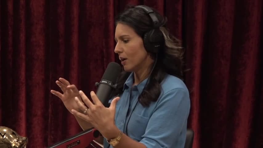 Tulsi on Rogan: The Democratic Party Leadership No Longer Believes in Truth