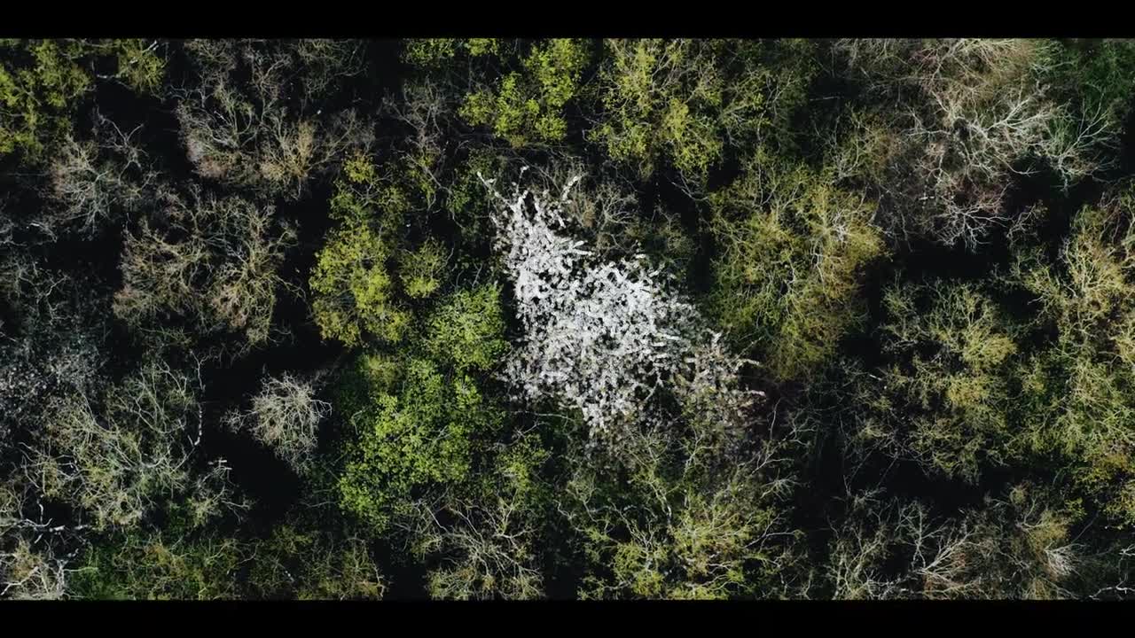 Wetlands _ Marais de Goulaine _ Canon R5 & Mavic 2 Pro Cinematic