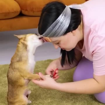 My dog made a fur puppy