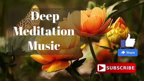 Relaxing Music | Sleeping, Meditation, Stress Relief | [6152] ⭐️