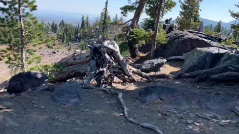 Central Oregon - Three Sisters Wilderness - Alpine Natural Clearing Viewpoint Area