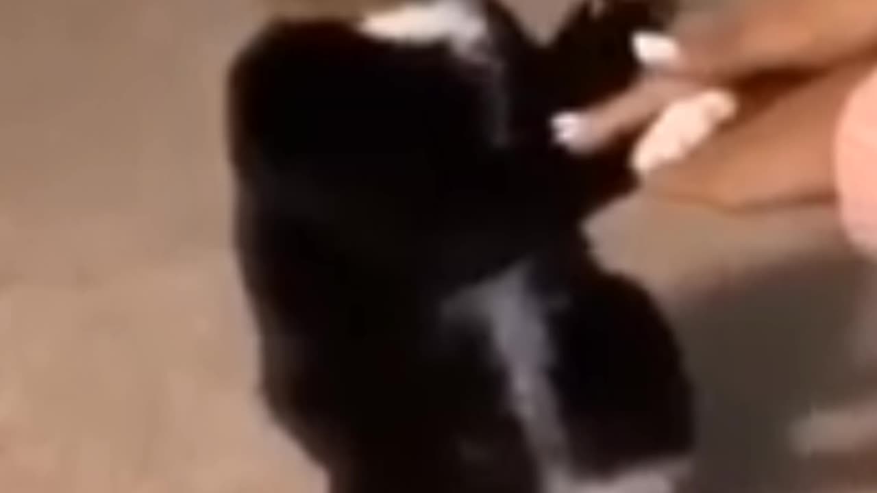 Funny 🤣🤣🤣🤣