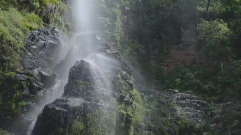 Waterfall in forest