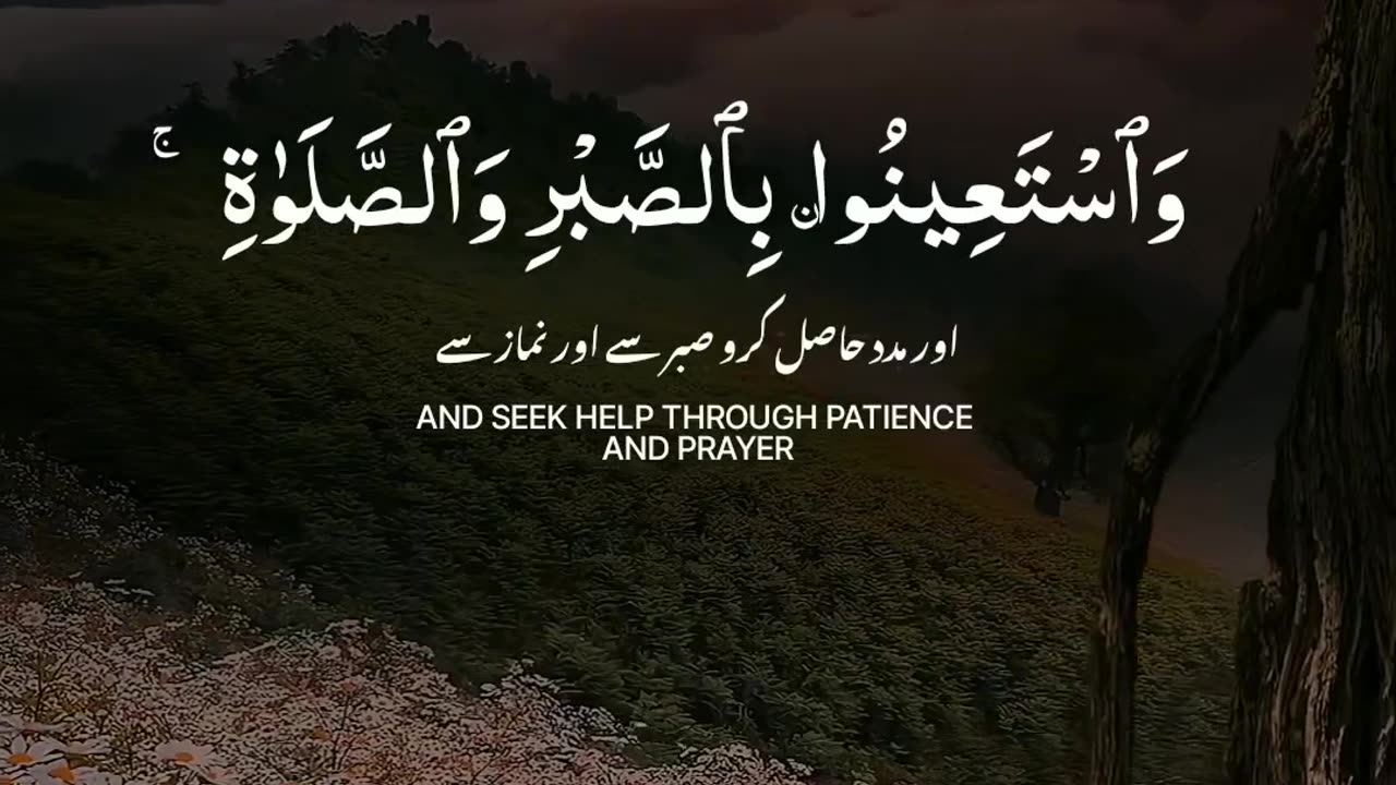 surah baqarah beautiful recitation