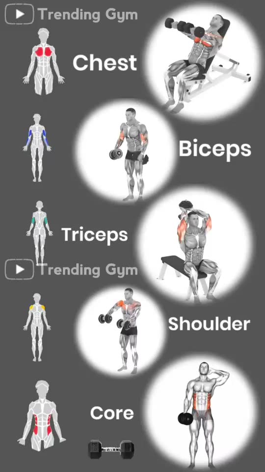 Dumbbell Workout Exercises For Muscle Building 💪