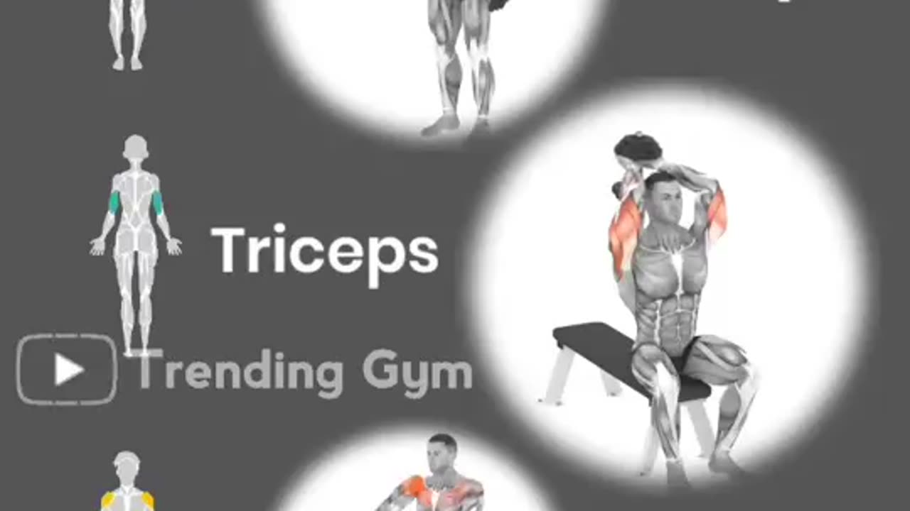 Dumbbell Workout Exercises For Muscle Building 💪