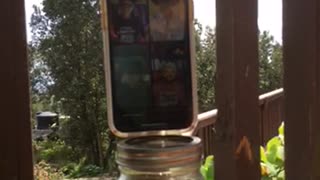 Trump is Commander and Chief