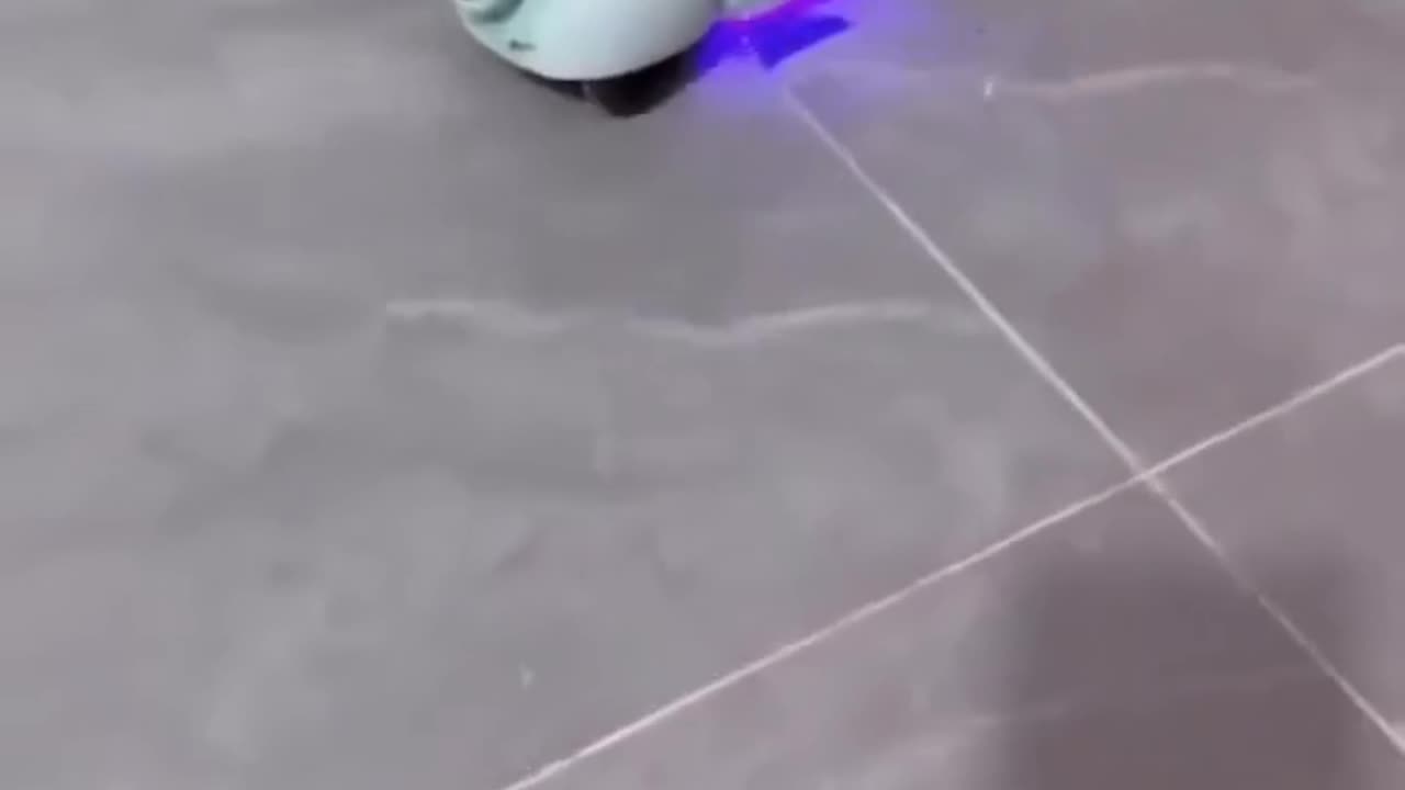 My pet ride scuty