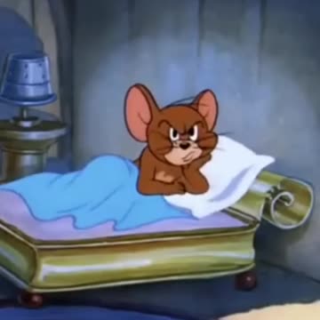 Кошачья вечеринка