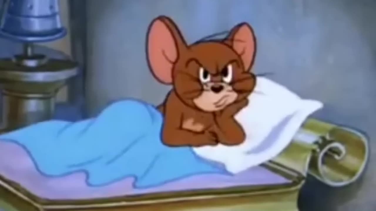 Кошачья вечеринка