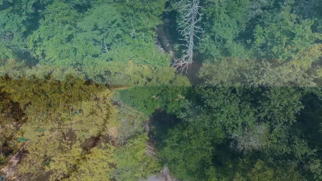 Meditation and Relaxation - Nature