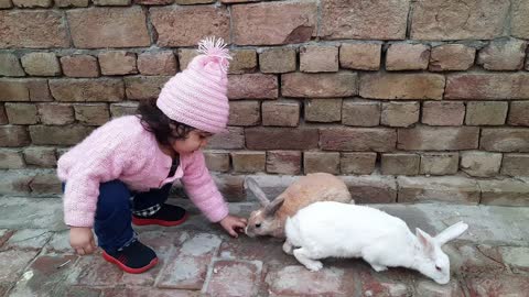 Little girl and rabbit funny vidio