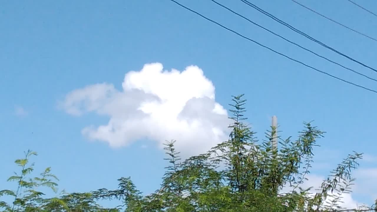 Cloud zoo