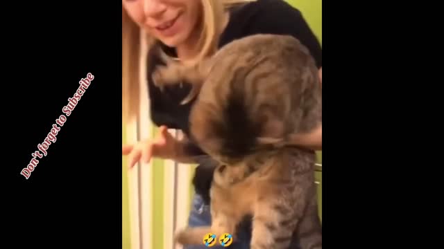 Best Funny Videos 2021 Compilation