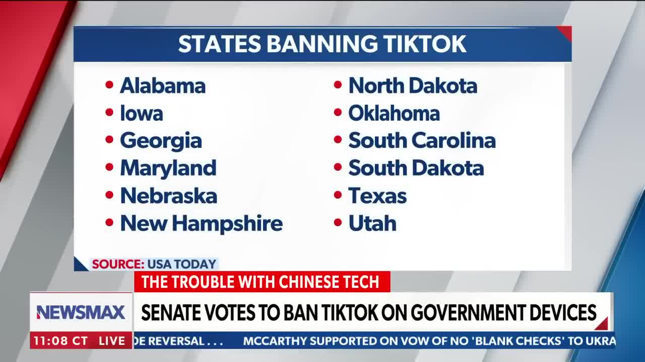 Border security and the dangers of TikTok: K.T. McFarland