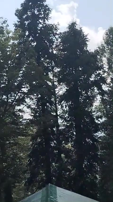 Pakistan Tour 2024-P-4