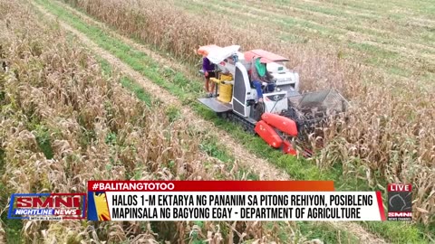 Halos 1-M ektarya ng pananim sa pitong rehiyon, posibleng mapinsala ng Bagyong Egay —DA