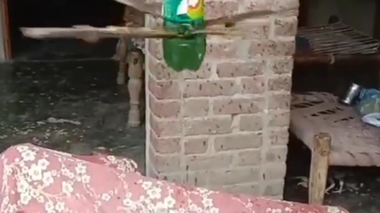 LOL 22🤣