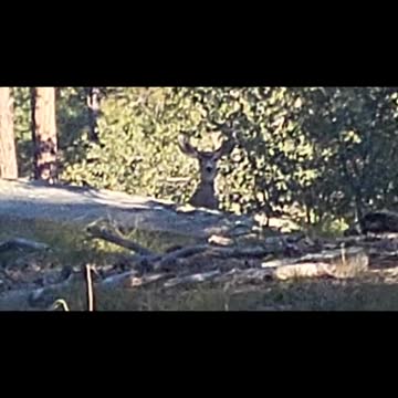 I SPENT SOME TIME IN THE ARIZONA WILDERNESS