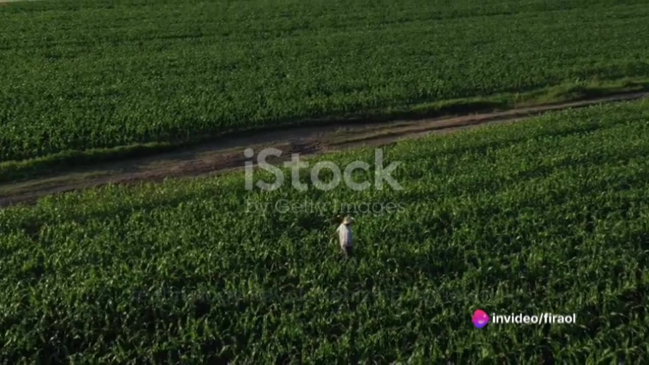 Drones: The New Age Farmers in Goa