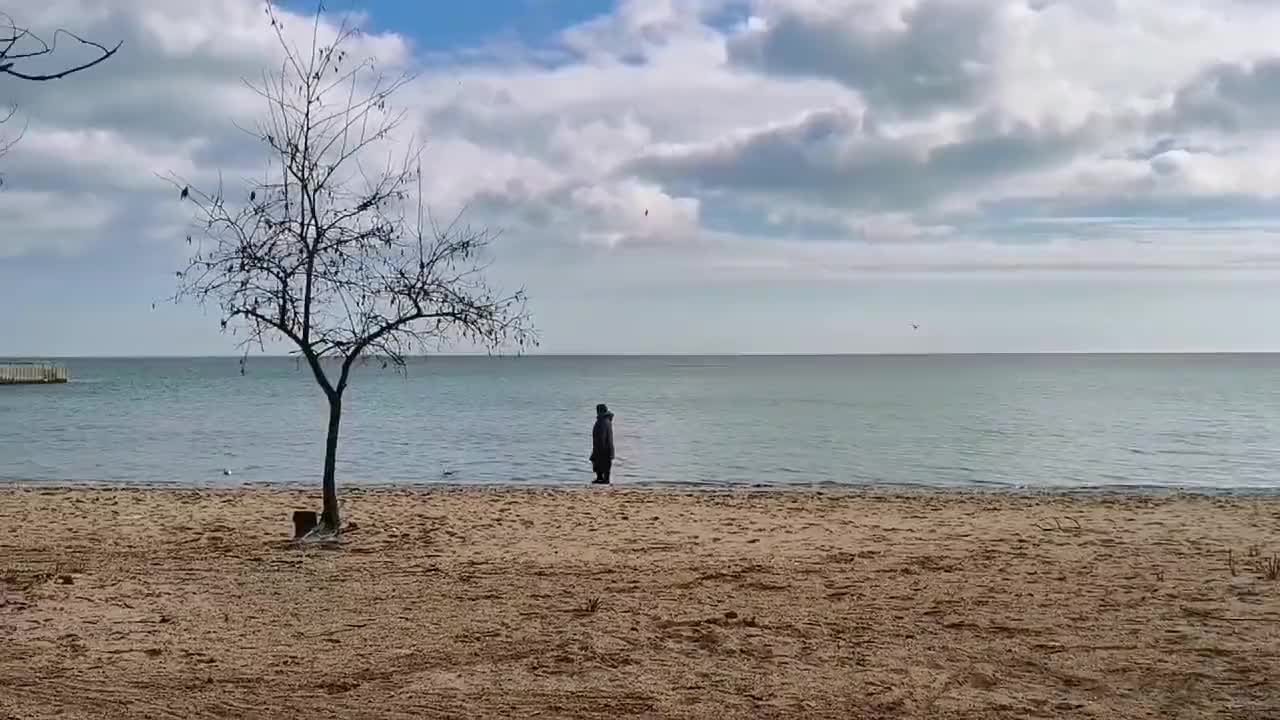 Waiting for the war