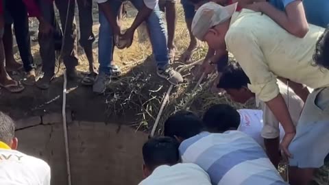 My best animal rescue