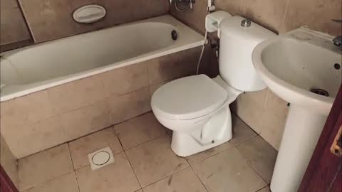 1Bhk Apartment