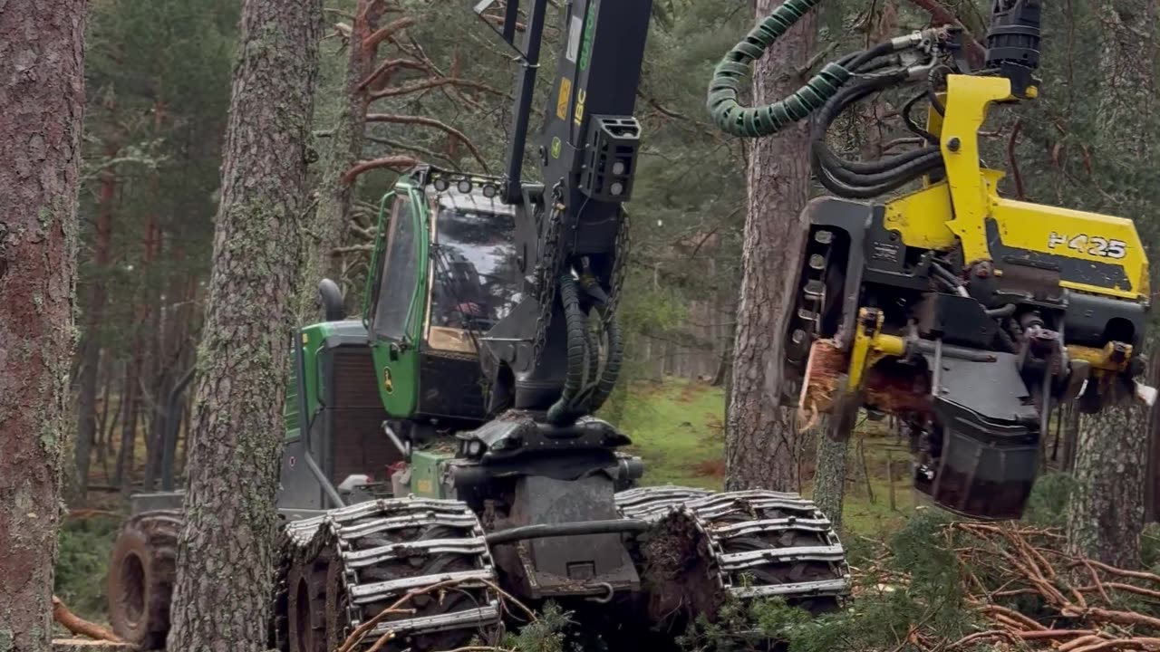 “Tree Cutting in Action: Innovation and Power with Harvester 1270G Technology” 🌲🚜🔧