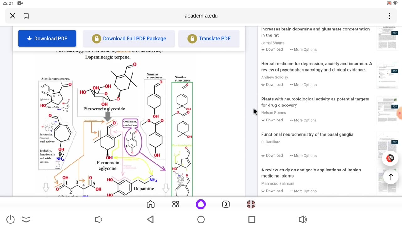 Hypothetical scheme pharmacology Picrocrocin(Saffron). Terpenes, dopaminergic