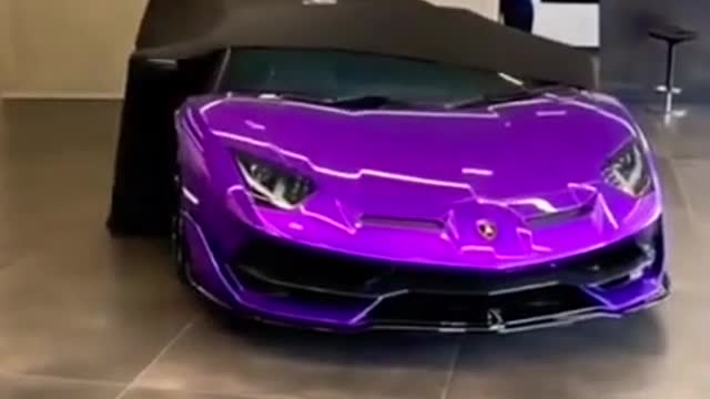 purple 🟣 lamborghini aventador unveiling