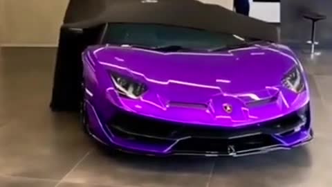 purple 🟣 lamborghini aventador unveiling