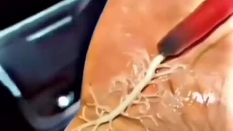 Alien Worm