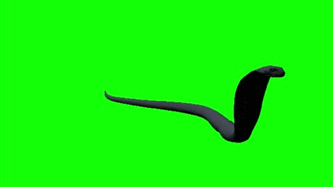 snake green screen,green screen snake,snake cartoon green screen,green snake green screen