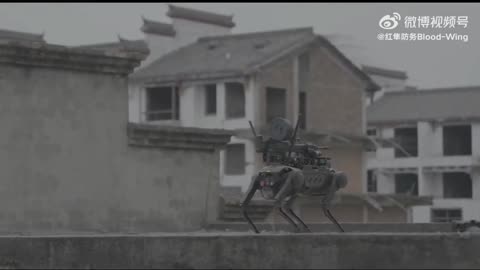 Blood-Wing, a Chinese defense contractor, demonstrates drone-deploying an armed robodog.