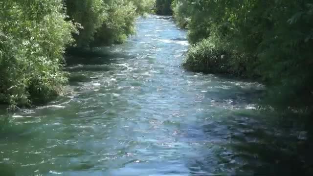 Relaxing, Calm, Stress Relief Music # 106