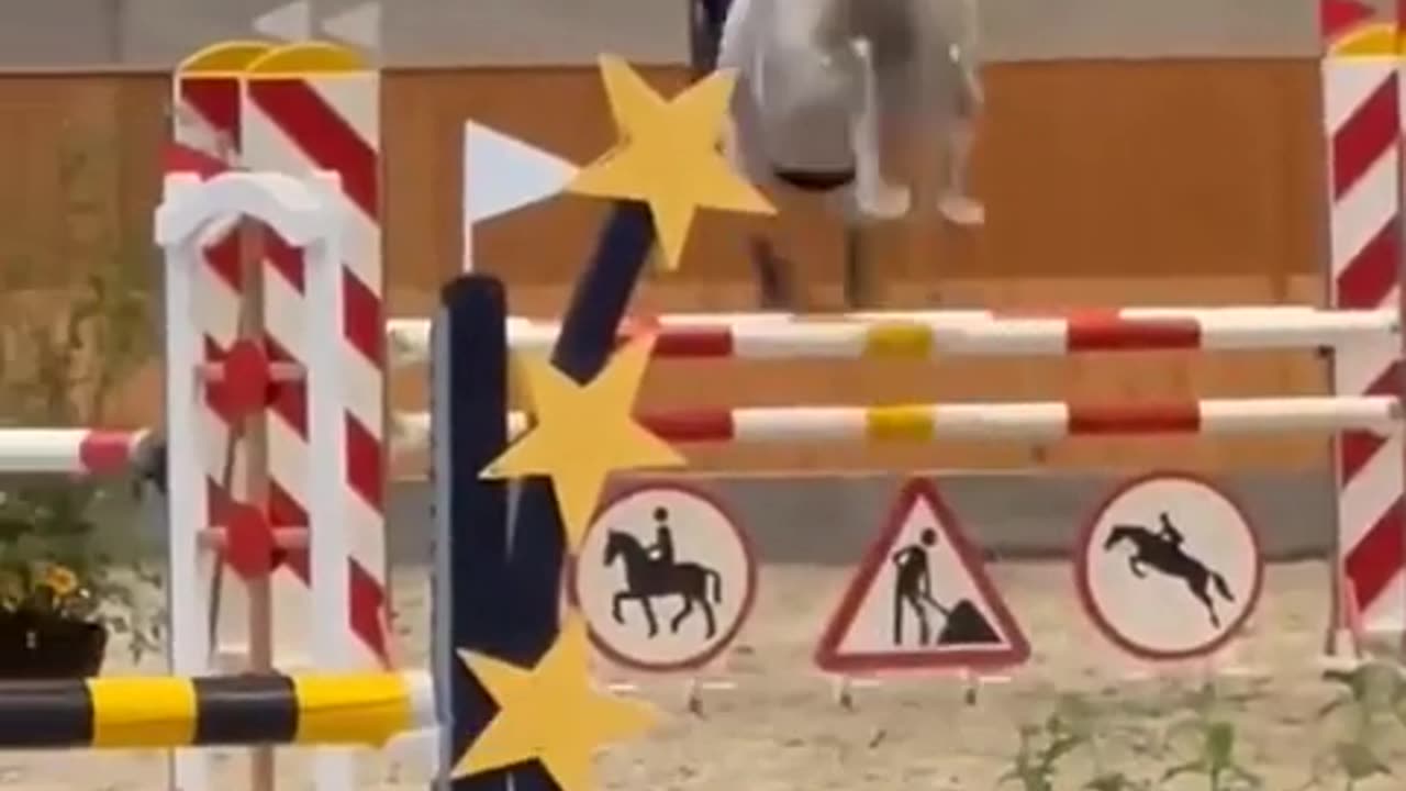 Horse with acceleratorско🚀