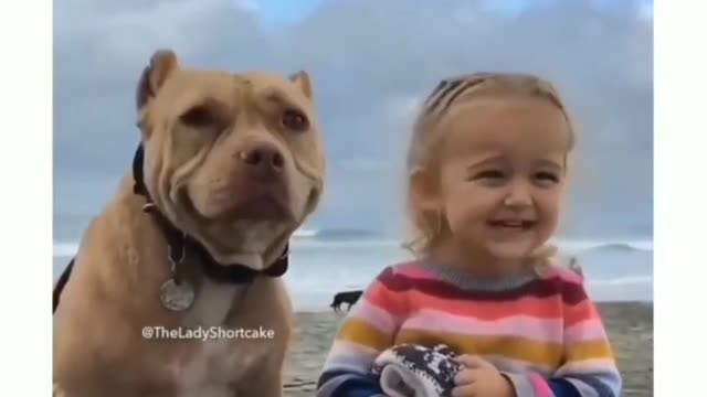 Cute dog video | dog hilarious smile