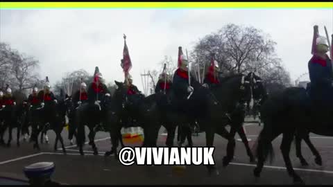 Buckingham Palace horse guards