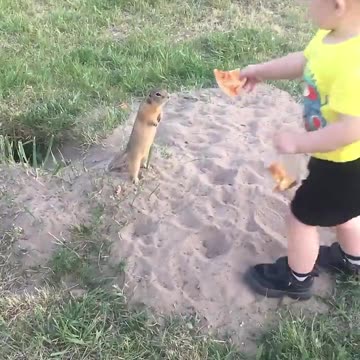 Cute Squirrel Gratefully Takes Toddler's Pizza