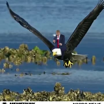 God Bless the USA & President Trump