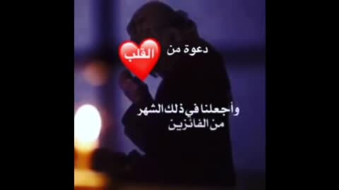Sheikh Al Shaarawy