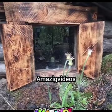 Surviving in the Wilderness