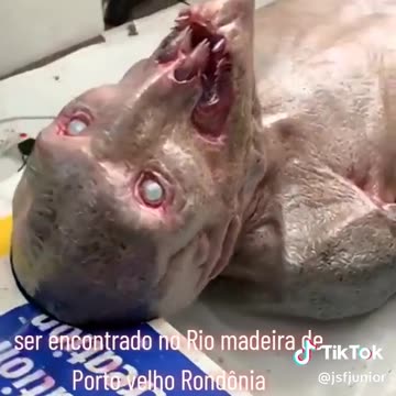 et found dead et of the aquatic race