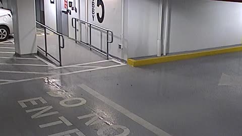 6080RHOBG3G305ANorthLobbyEntry_2021-01-06_17h40min03s580ms.mp4