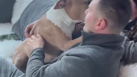 Doggo Shown So Much Love She Starts to Cry