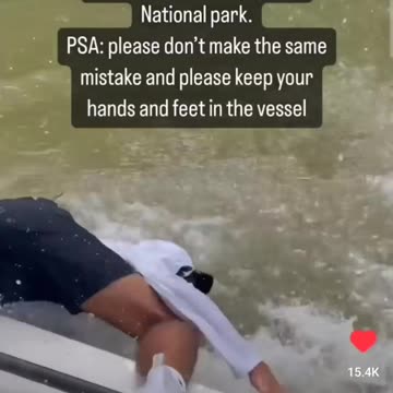 Bull Shark bites off mans hand in The Everglades