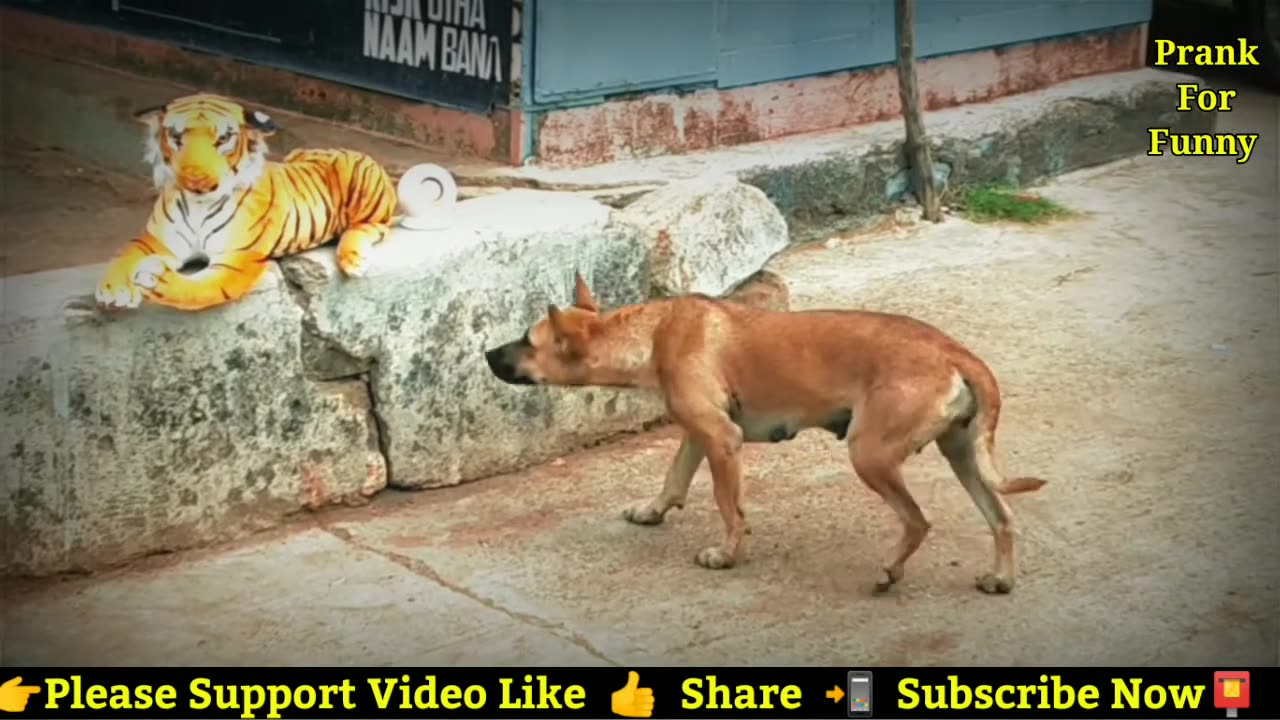 Prank Dog No Run So Funny video status 2021 Fake Tiger Comedy Videos HK Funny Pranks.mp4